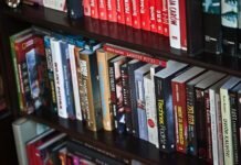 Все о студенческой практике студенческая практика