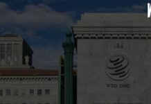 Международные стандарты финансовой отчетности в РФ Международные стандарты финансовой отчетности в РФ