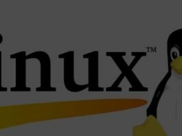 Почему и как Linux стал набирать популярность Почему и как Linux стал набирать популярность