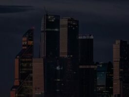 Проблемы уровня жизни населения России Проблемы уровня жизни населения России