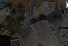 Гуманизация уголовного законодательства по делам ст. 228 УК РФ Гуманизация уголовного законодательства по делам ст. 228 УК РФ